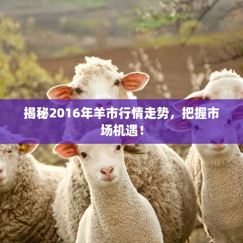 揭秘2016年羊市行情走勢，把握市場機遇！