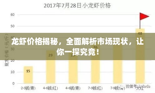 龍蝦價格揭秘，全面解析市場現(xiàn)狀，讓你一探究竟！