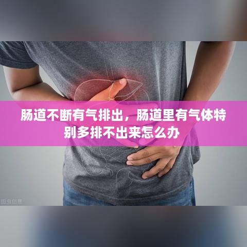 腸道不斷有氣排出，腸道里有氣體特別多排不出來怎么辦 