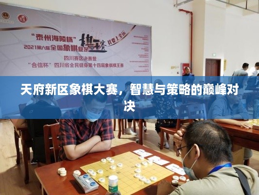 天府新區(qū)象棋大賽，智慧與策略的巔峰對決