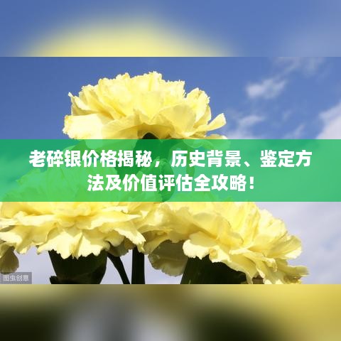 老碎銀價格揭秘，歷史背景、鑒定方法及價值評估全攻略！