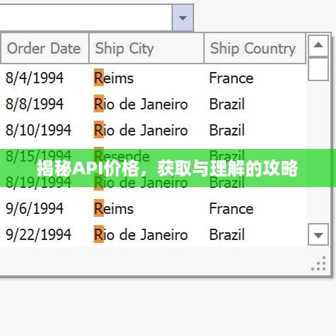 揭秘API價格，獲取與理解的攻略