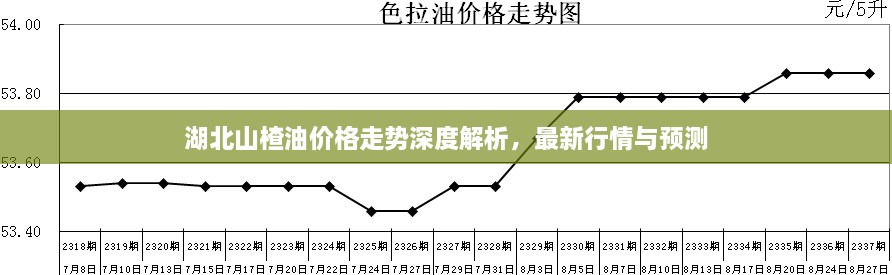 湖北山楂油價格走勢深度解析，最新行情與預(yù)測