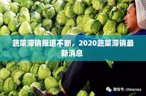 蔬菜滯銷(xiāo)報(bào)道不斷，2020蔬菜滯銷(xiāo)最新消息 