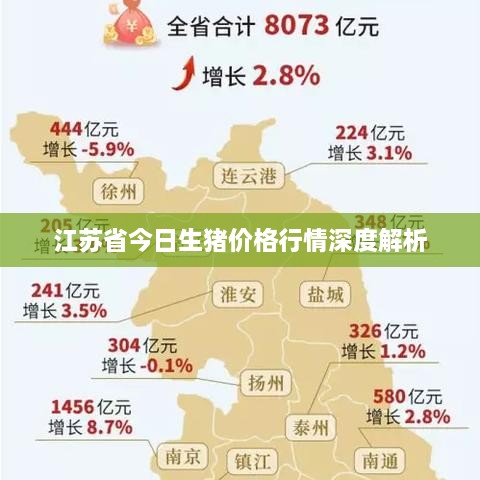 江蘇省今日生豬價格行情深度解析