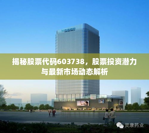 揭秘股票代碼603738，股票投資潛力與最新市場動態(tài)解析