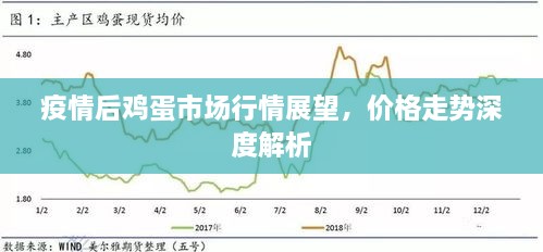 疫情后雞蛋市場行情展望，價(jià)格走勢深度解析