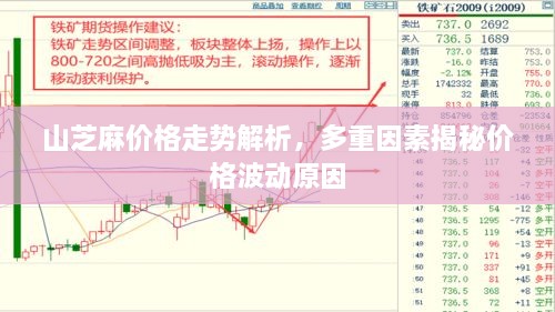 2025年1月4日 第4頁