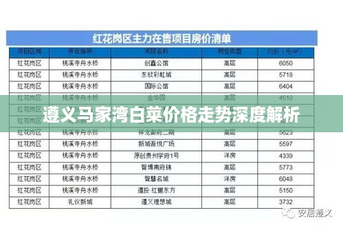 遵義馬家灣白菜價格走勢深度解析