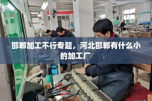 邯鄲加工不行專題，河北邯鄲有什么小的加工廠 