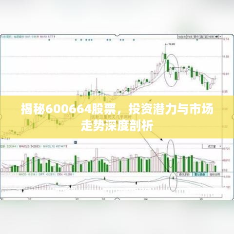 揭秘600664股票，投資潛力與市場走勢深度剖析