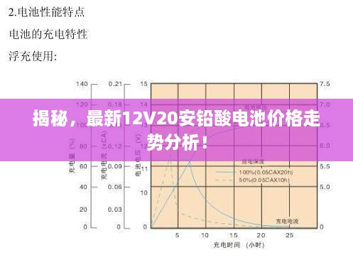 揭秘，最新12V20安鉛酸電池價(jià)格走勢(shì)分析！