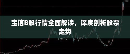 寶信B股行情全面解讀，深度剖析股票走勢(shì)