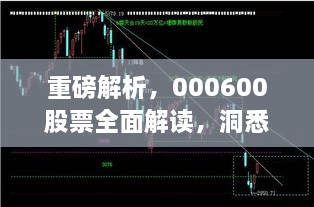 重磅解析，000600股票全面解讀，洞悉投資趨勢！