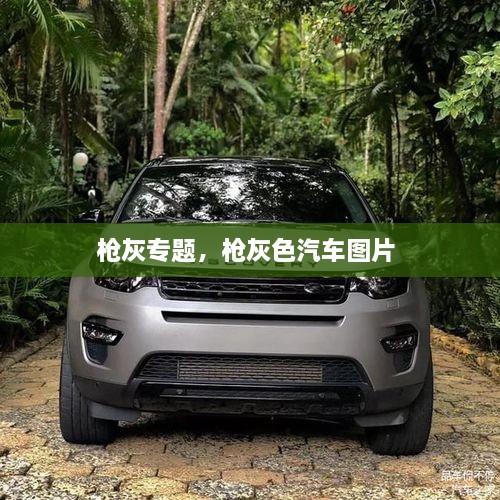 槍灰專(zhuān)題，槍灰色汽車(chē)圖片 