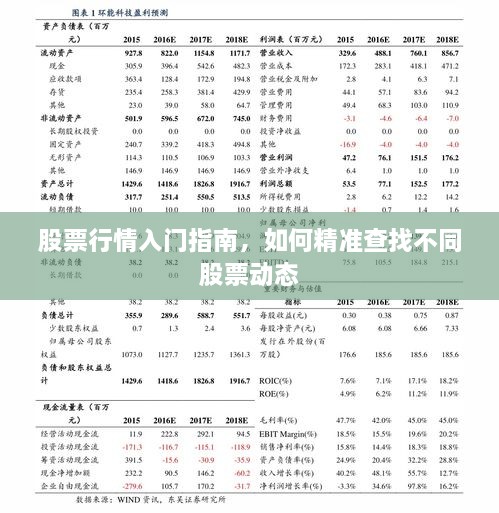 股票行情入門指南，如何精準(zhǔn)查找不同股票動態(tài)