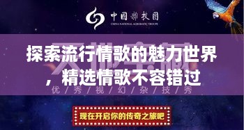 探索流行情歌的魅力世界，精選情歌不容錯過