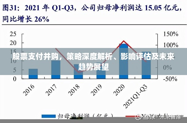 股票支付并購，策略深度解析、影響評(píng)估及未來趨勢(shì)展望