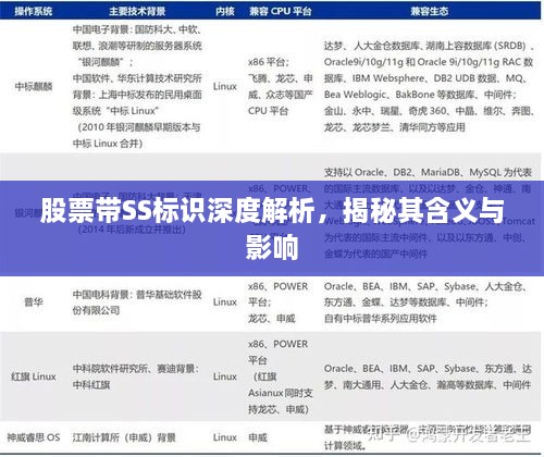 股票帶SS標(biāo)識深度解析，揭秘其含義與影響