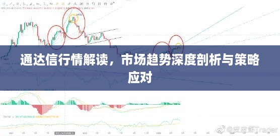 通達(dá)信行情解讀，市場(chǎng)趨勢(shì)深度剖析與策略應(yīng)對(duì)