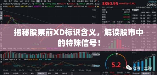 揭秘股票前XD標(biāo)識含義，解讀股市中的特殊信號！