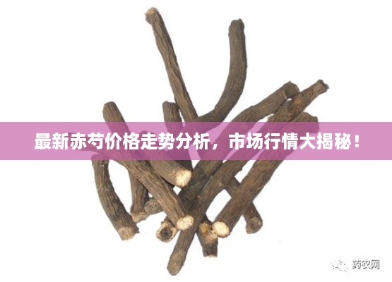 最新赤芍價(jià)格走勢(shì)分析，市場(chǎng)行情大揭秘！