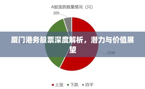 廈門港務(wù)股票深度解析，潛力與價值展望