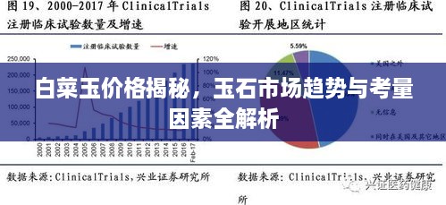 白菜玉價(jià)格揭秘，玉石市場趨勢與考量因素全解析