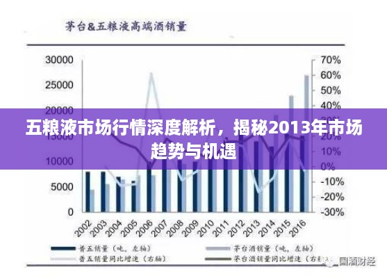 五糧液市場行情深度解析，揭秘2013年市場趨勢與機遇