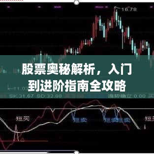 股票奧秘解析，入門到進(jìn)階指南全攻略