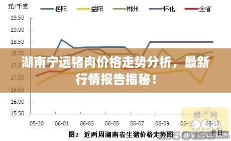 湖南寧遠(yuǎn)豬肉價(jià)格走勢分析，最新行情報(bào)告揭秘！