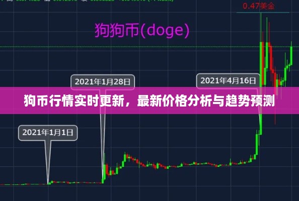 狗幣行情實時更新，最新價格分析與趨勢預測