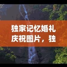 獨(dú)家記憶婚禮慶祝圖片，獨(dú)家記憶圖片唯美 