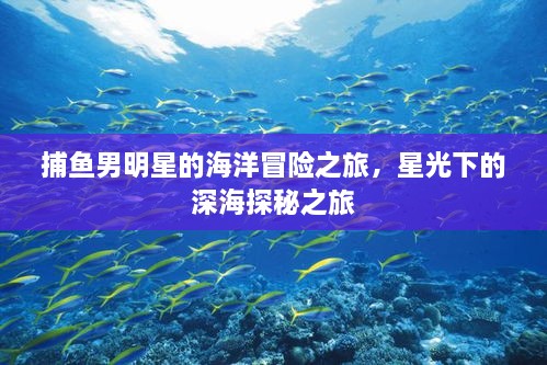 捕魚男明星的海洋冒險(xiǎn)之旅，星光下的深海探秘之旅