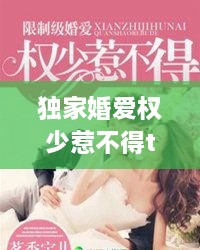 獨家婚愛權(quán)少惹不得txt下載，獨家婚寵免費閱讀全文 