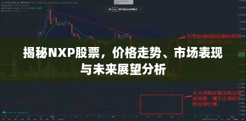 揭秘NXP股票，價格走勢、市場表現(xiàn)與未來展望分析