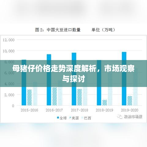 母豬仔價(jià)格走勢(shì)深度解析，市場(chǎng)觀察與探討