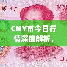 CNY幣今日行情深度解析，最新價(jià)格動態(tài)一網(wǎng)打盡！