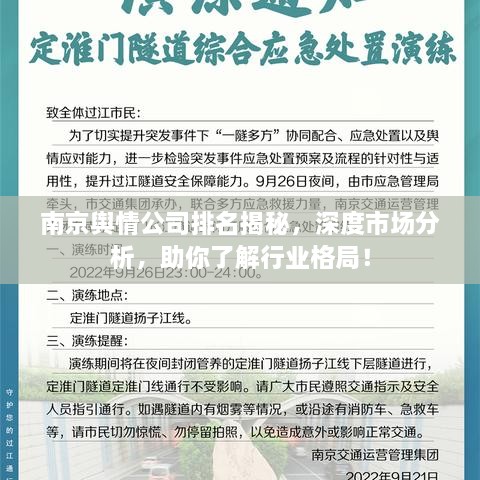 南京輿情公司排名揭秘，深度市場分析，助你了解行業(yè)格局！