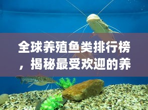 全球養(yǎng)殖魚類排行榜，揭秘最受歡迎的養(yǎng)殖魚類種類！