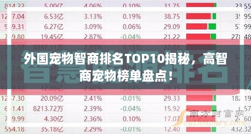 外國寵物智商排名TOP10揭秘，高智商寵物榜單盤點(diǎn)！