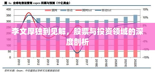 李文厚獨到見解，股票與投資領(lǐng)域的深度剖析