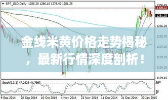 金線米黃價(jià)格走勢(shì)揭秘，最新行情深度剖析！