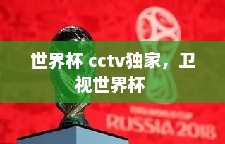 世界杯 cctv獨(dú)家，衛(wèi)視世界杯 