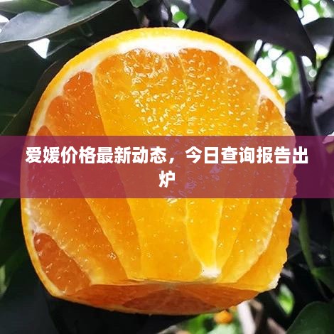 愛媛價格最新動態(tài)，今日查詢報告出爐