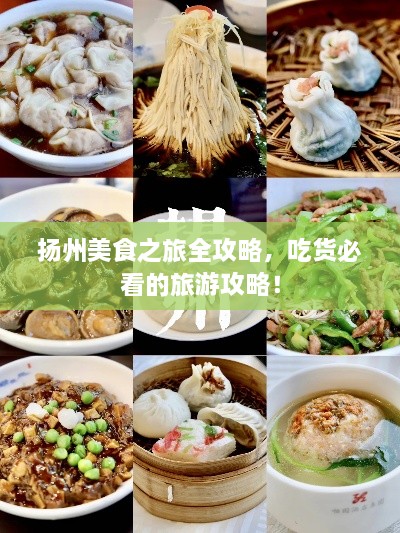 揚(yáng)州美食之旅全攻略，吃貨必看的旅游攻略！