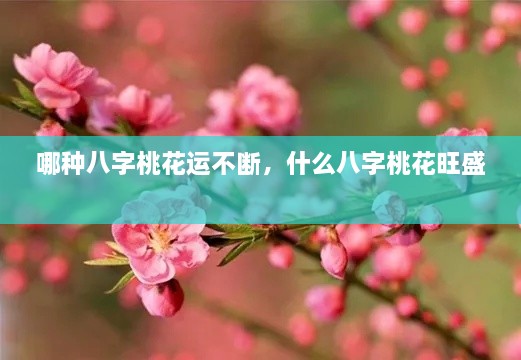 哪種八字桃花運不斷，什么八字桃花旺盛 