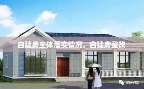 自建房主體落實情況，自建房整改 