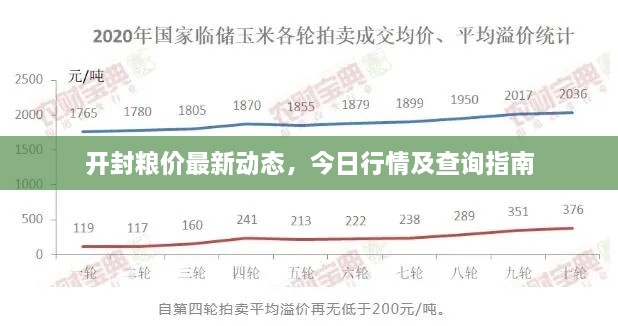 開封糧價(jià)最新動(dòng)態(tài)，今日行情及查詢指南