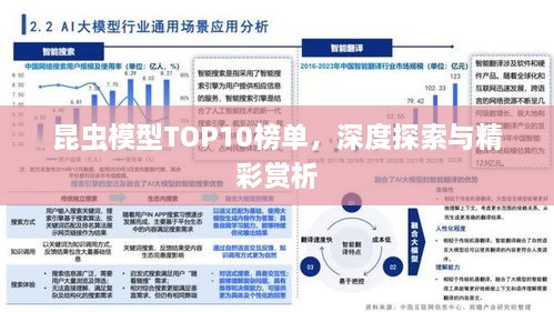 昆蟲模型TOP10榜單，深度探索與精彩賞析